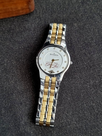 Skagen Denmark Fashion Brand Ladies Watch 28mm Dial Watch
